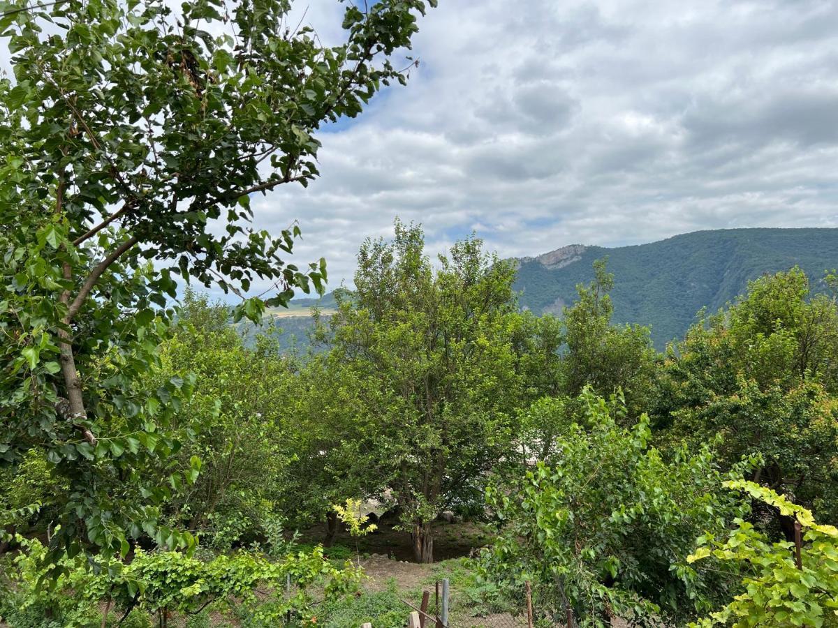 Arman Bed And Breakfast Halidzor Kültér fotó